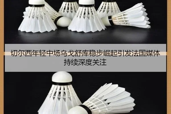 切尔西年轻中场乌戈舒库稳步崛起引发法国媒体持续深度关注
