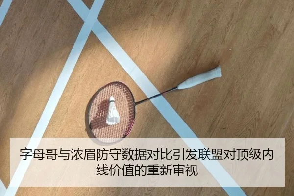 字母哥与浓眉防守数据对比引发联盟对顶级内线价值的重新审视